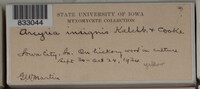 Image Associated With the Occurence